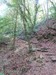 20150805_152353.jpg