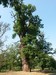 20150808_093843.jpg