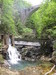 IMG_5254.jpg